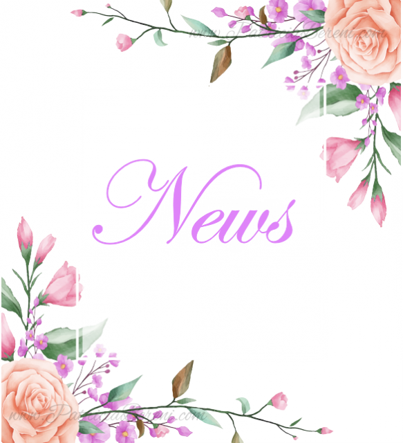 IKONA - News